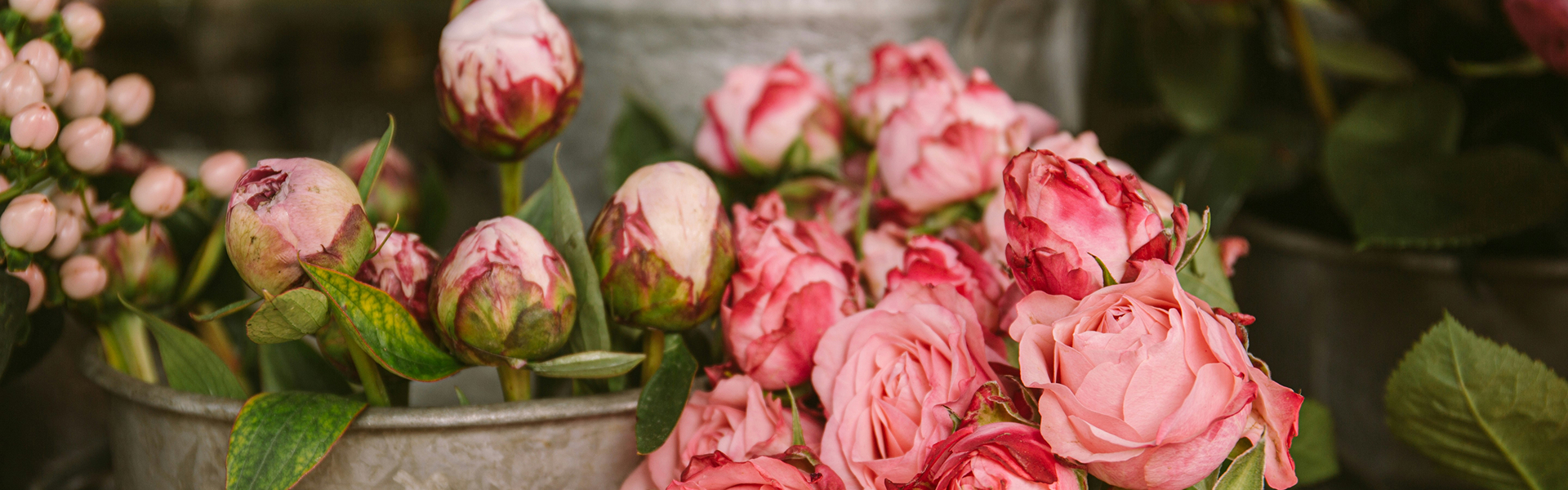 Bestattungsdienst Schmitz – Schnellhilfe im Trauerfall